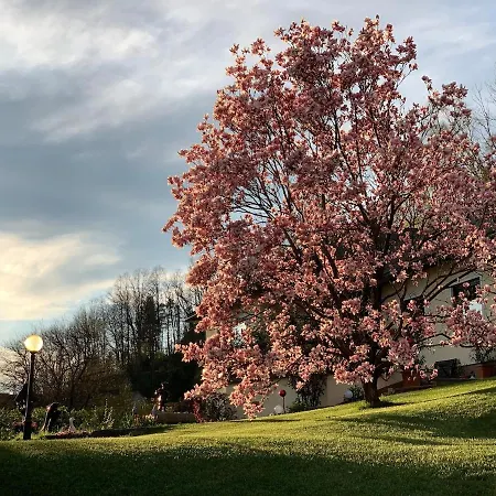 Yellow House - 5 * Steyr