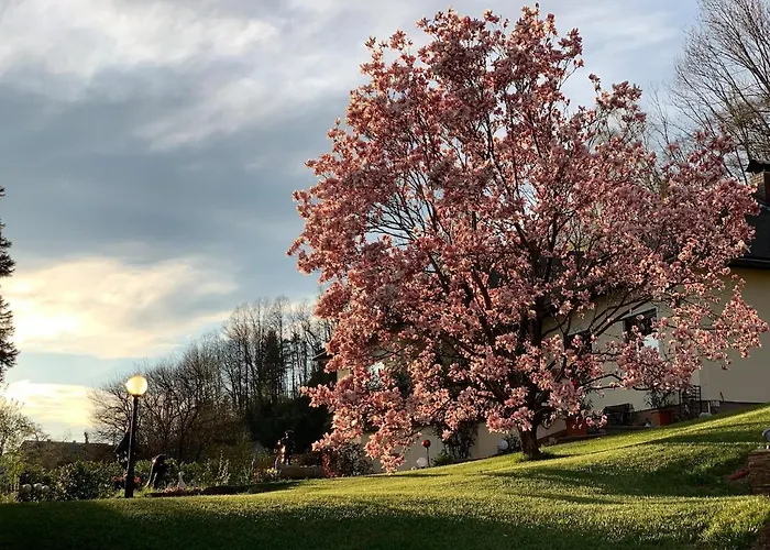 Yellow House - 5 * 施泰尔